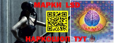 дмт Будённовск