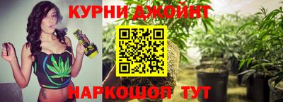 дмт Будённовск