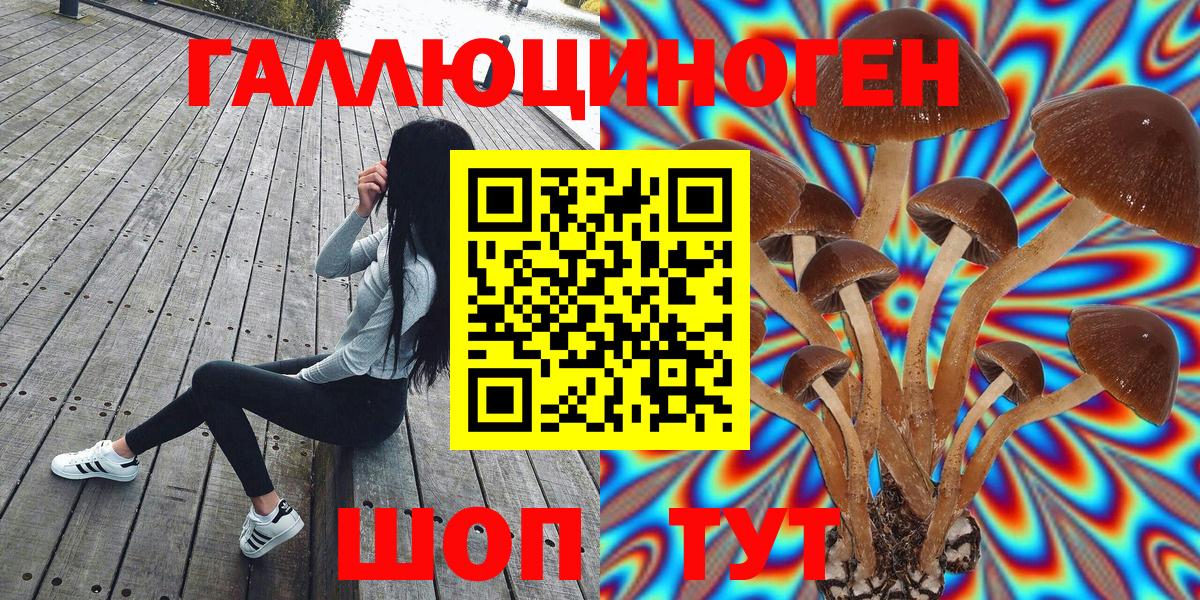 Галлюциногенные грибы мухоморы  Псилоцибиновые грибы мухоморы  Тосно  Вход с VPN 