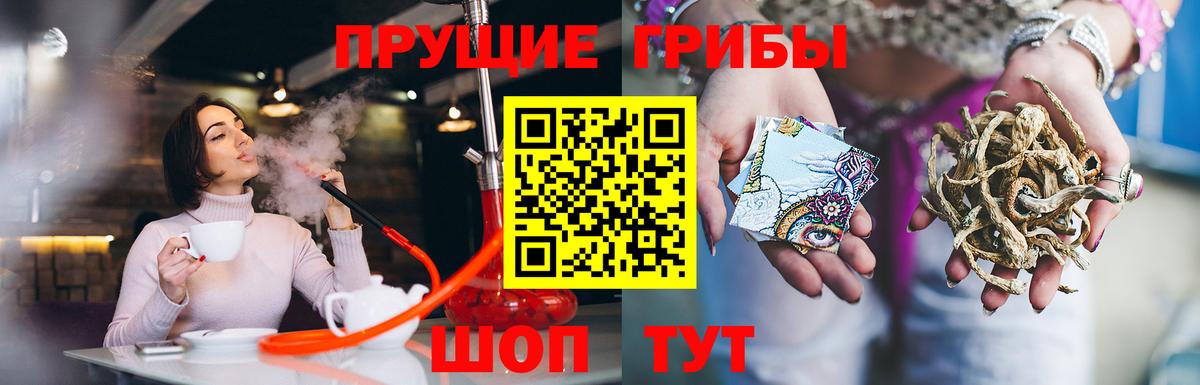 Псилоцибиновые грибы GOLDEN TEACHER Тосно